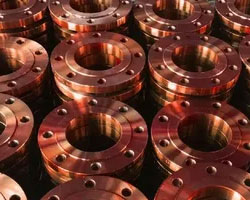 Nickel & Copper Alloy flanges